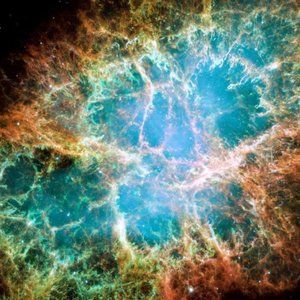 Meet your Posher, Sofien